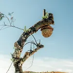 Gospodarstwo agroturystyczne Portugals Infinity Eco