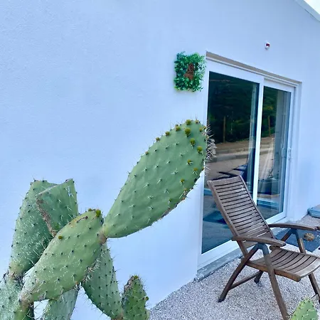 Portugals Infinity Eco Vakantieboerderij *