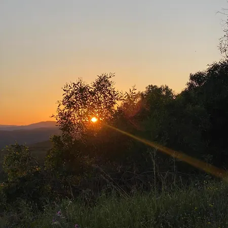 Portugals Infinity Eco Vakantieboerderij