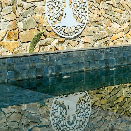 Portugals Infinity Eco Vakantieboerderij