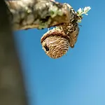 Κατάλυμα σε φάρμα Portugals Infinity Eco *