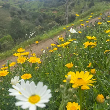 Portugals Infinity Eco Тавира