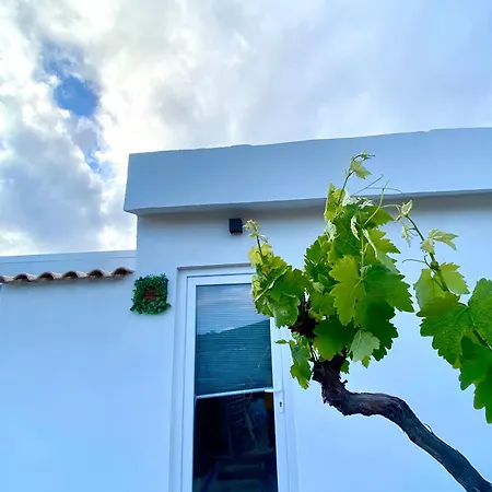 Portugals Infinity Eco