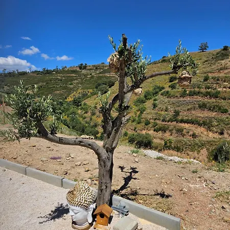 Séjour à la ferme Portugals Infinity Eco Tavira