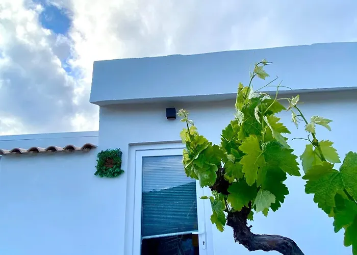 Portugals Infinity Eco