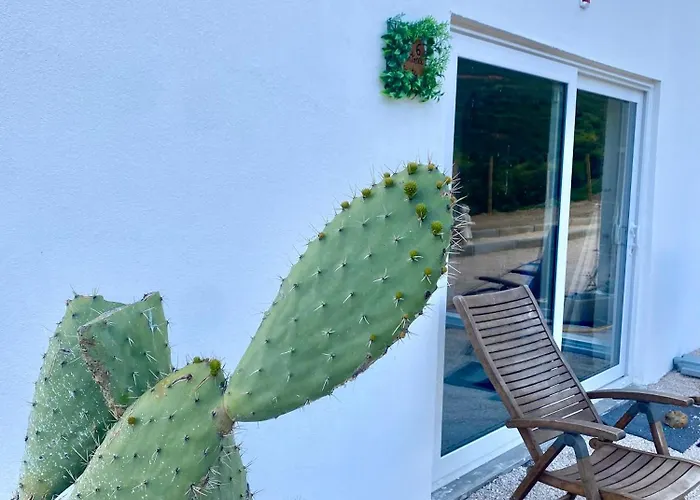 Portugals Infinity Eco Vakantieboerderij *