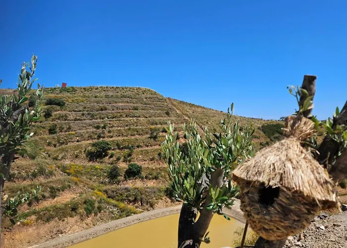 Portugals Infinity Eco Vakantieboerderij *