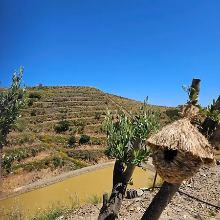 Portugals Infinity Eco Farmház *