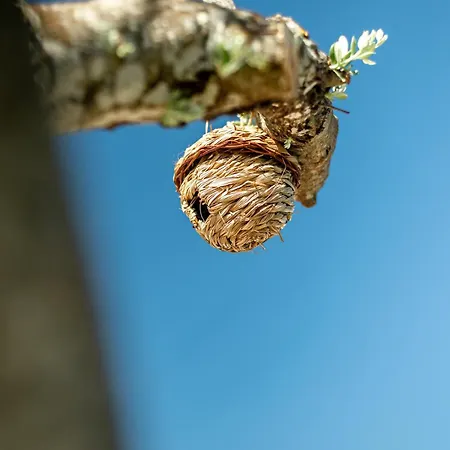 Farmház Portugals Infinity Eco *